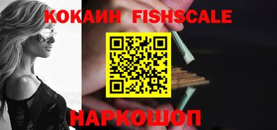 крисы Кулебаки